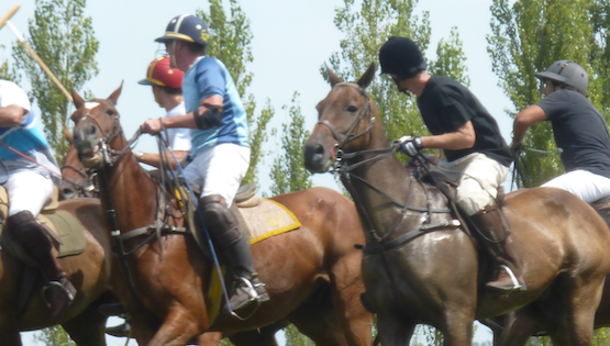 Polo – First Game